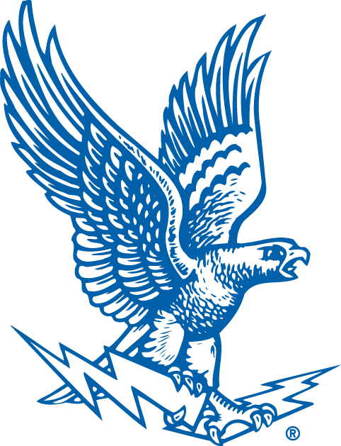 Air Force Falcons 1963-1994 Primary Logo DIY iron on transfer (heat transfer)